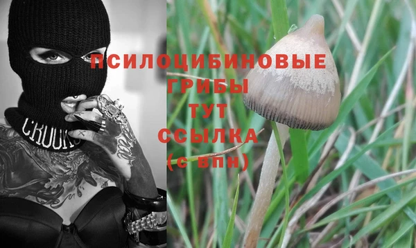 амф Балахна