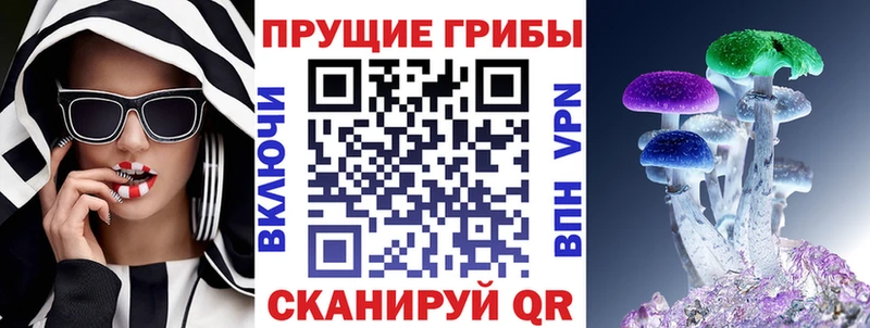 купить  цена  Макаров  KRAKEN сайт  Галлюциногенные грибы прущие грибы 